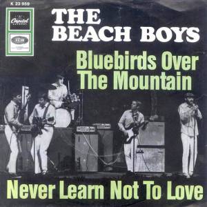 Bluebirds Over The Mountain Album 