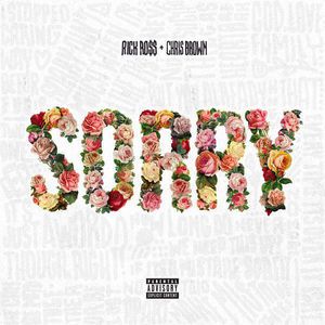 Sorry Album 