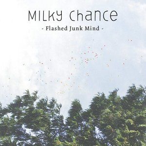 Flashed Junk Mind Album 