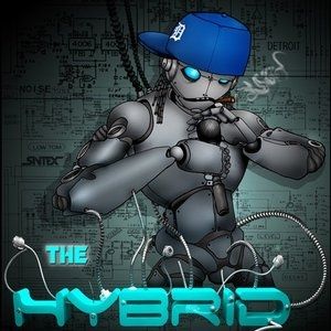 The Hybrid Album 