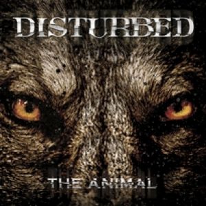 The Animal Album 