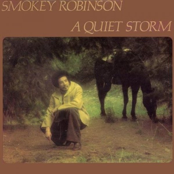 A Quiet Storm Album 