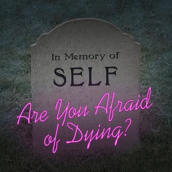 Are You Afraid of Dying? Album 