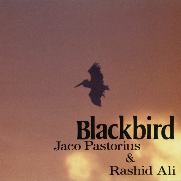 BLACKBIRD Album 