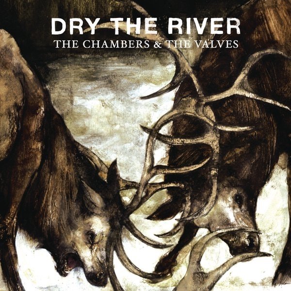 The Chambers & the Valves Album 