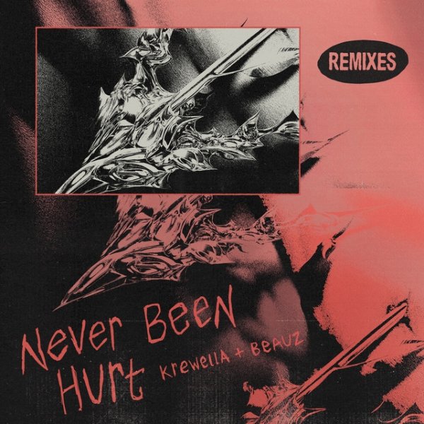 Never Been Hurt (Remixes) Album 