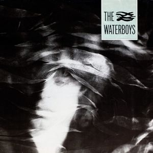 The Waterboys Album 